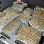 СДВР разби таен подвижен склад с 10 килограма марихуана