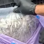 Гранична полиция залови над 300 килограма кокаин и марихуана