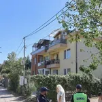 Убийството на зъболекарката заради развод