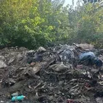 ОТВРАТ! Разбиха нелегална кланица край Сливен с 200 кг месо и трупни отпадъци
