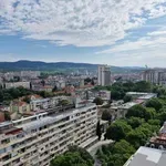 Стара Загора ще бъде домакин на четири спортни турнира през уикенда