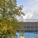 Показаха новия дом на ЦСКА сред златните цветове на есента