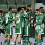 В Унгария за Лудогорец: Проектът, който разби хегемонията на ЦСКА и Левски