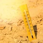 Raziskava: Poletja so 30 dni daljša in vročina je bolj neusmiljena