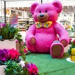 ALEJA v cvetju pozdravlja pomlad in praznuje dan žena