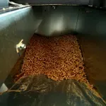 Povećana potražnja za peletom u BiH, trenutna cijena 690 KM po toni