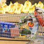 Europljani strahuju od novog vala poskupljenja, najzabrinutiji stanovnici ove tri zemlje