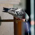 Danas sunčano u cijeloj BiH, na jugu zemlje temperature do 34 stepena
