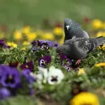 Objavljena konačna prognoza za 1. maj: Očekuje nas obilje sunca, neće biti kiše, ipak oprez zbog jedne vremenske pojave