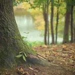 Samo 20 minuta boravka u prirodi smanjuje nivo stresa