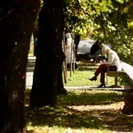Upozorenje za osjetljive osobe: Visoke koncentracije polena ambrozije u zraku u Kantonu Sarajevo
