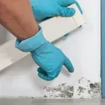 Ovako Finci trajno rješavaju problem vlage u kućama, a ne košta gotovo ništa