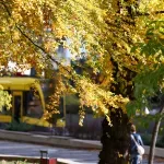 U BiH i sutra sunčano vrijeme, dnevna temperatura na jugu do 29 stepeni