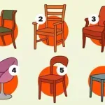 Koju ste stolicu odabrali? Psihološki test otkriva u čemu se ističete