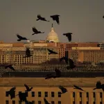 Pentagon odgodio objavu izvještaja o napadu na školu u Iranu