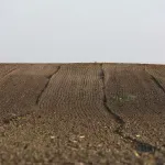 Agroindustrija BiH u 2025. bilježi deficit od 4,24 milijarde KM