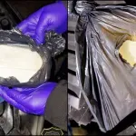 Policija na području Tuzlanskog kantona oduzela 1 kg droge