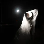 Praizvedbom plesne predstave "Deinos" u Novom teatru zatvoren 66. Internacionalni teatarski festival MESS