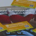 U FBiH ove godine samo 16 transplantacija: Stotine pacijenata čekaju novi organ