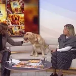Šta nas psi mogu naučiti o životu i ljubavi? Brenna je inspirisala 101 istinitu priču