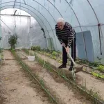 (VIDEO) Baka Jela ima 103 godine, još kopa i sadi, a za motorom pati: "Momaka je bilo više nego kose na glavi"