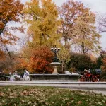 Nakon više od 150 godina New York zabranjuje vožnje kočijama kroz Central Park: Sindikat najavio tužbu, brojna radna mjesta ugrožena