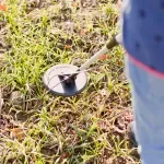 Četverogodišnjak pronašao blago "vrijedno 4 miliona dolara" igrajući se s tatinim detektorom metala