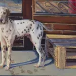 Werkstatt - mjesto gdje mlade umjetnice mogu predstaviti svoj talenat, ali i dobiti stipendiju