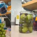 Novo sredstvo uklanja 94% pesticida, održava grožđe svježim 15 dana na sobnoj temperaturi