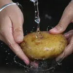 Prilikom sadnje krompira dodajte jedan prirodni sastojak, pomaže u odbijanju zlatice