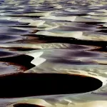 Bijela pješčana pustinja u blizini najveće šume na svijetu