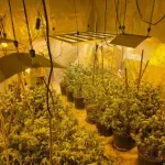 U akciji „Aries“ uhapšena 31-godišnjakinja, pronađeno pet laboratorija