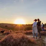 Nizozemski "normabel": Novi trend koji se prakticira u sumrak, a smiruje um za desetak minuta