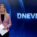Dnevnik: Ostavka Schmidta