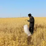 Izraelci u Evropi prodaju strane proizvode kao svoje