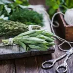Mediteranska biljka koja liječi sve, a nezamjenjiva je i u kuhinji