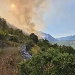 Požar iz Popovog polja se proširio na Trebinje: Apel mještanima da pomognu