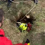 Neobična akcija spasilaca iz Splita: Spasili tele iz rupe duboke 10 metara