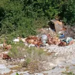 U Hercegovini uz cestu pronađene uginule i žive kokoši