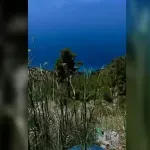 Snimak iz Hrvatske uznemirio javnost, turiste dočekao prizor koji niko ne želi