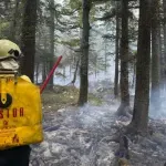 VIDEO Vjetar ponovo aktivirao požar na Plješevici, zatražen angažman helikoptera