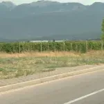 Šta jedu mještani pored Uborka? Čekaju se analize voća i povrća, Hasna strahuje: "Ovo grožđe je zatrovano"