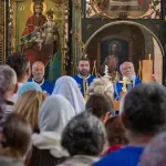 LSV: Sramno veličanje Ratka Mladića od strane episkopa Nikonora osramotilo slavu grada Zrenjanina