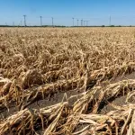 EU priprema zakon za klimatske katastrofe: Države moraju planirati zagrijavanje od tri stepena