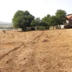 Udruženje poljoprivrednika FBiH traži proglašenje stanja elementarne nepogode zbog suše