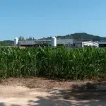 Nakon dugotrajne suše meteorolozi ne vide obilne padavine, ali stručnjaci upozoravaju šta bi moglo uslijediti