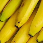 Sve banane u prodavnici potiču od jedne biljke, sorta prije ove izumrla je od gljivice, a ista takva gljivica se sada širi plantažama