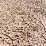Zastrašujuće prognoze: El Niño bi mogao odvesti 50 miliona ljudi u akutnu glad do kraja sljedeće godine