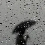 Zašto neke ljude kiša smiri, a druge potpuno “spusti”