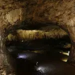 U hercegovačkoj pećini otkriveno je 37 životinjskih vrsta koje prije toga nisu bile viđene nigdje na svijetu